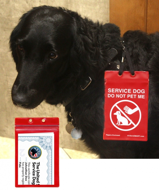 do service dogs have paperwork